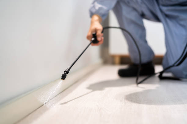 Licensed Pest Control service in Sharon, WI - Show Me Pest Control
